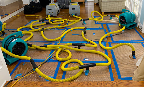 Professional Water Extraction technician working in Southampton, MA